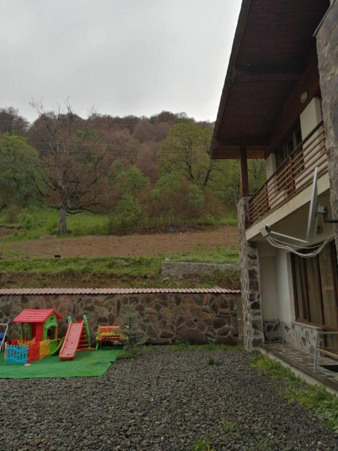 Konstantine'S Chalet Bakuriani Kültér fotó