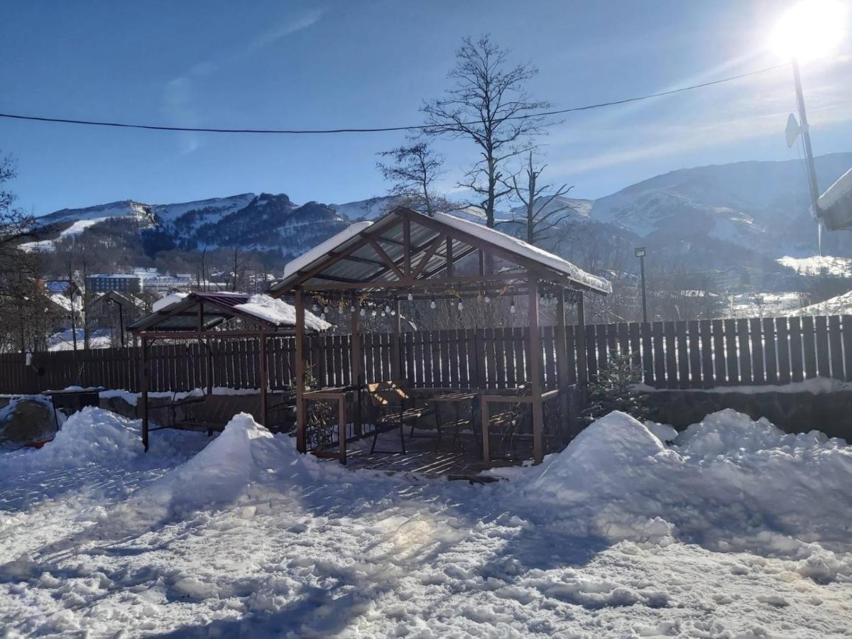 Konstantine'S Chalet Bakuriani Kültér fotó