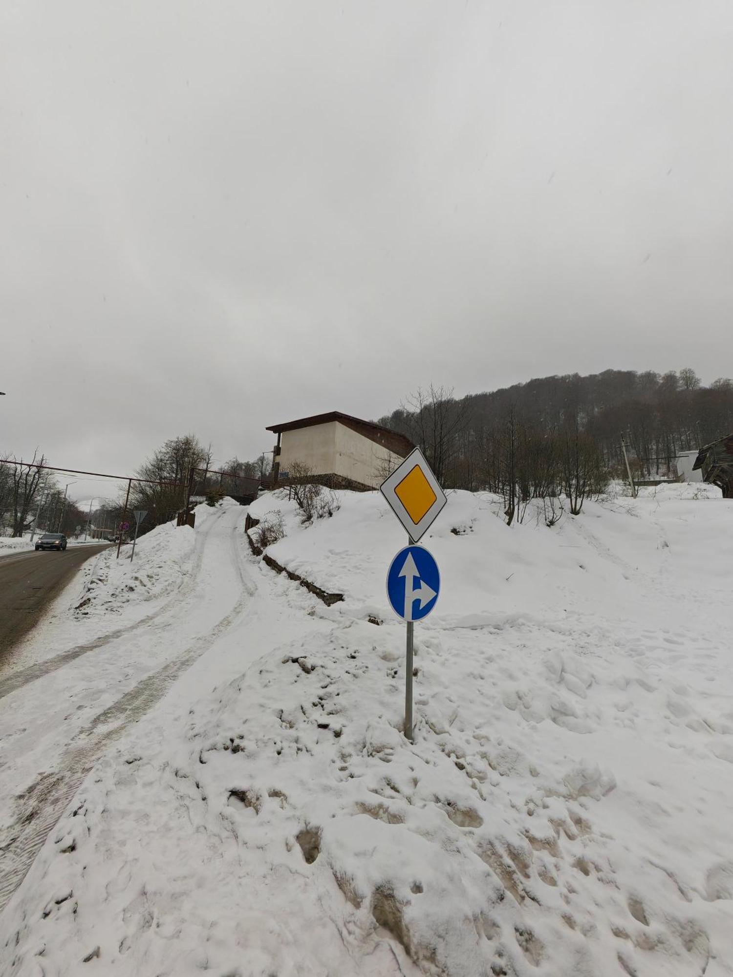 Konstantine'S Chalet Bakuriani Kültér fotó