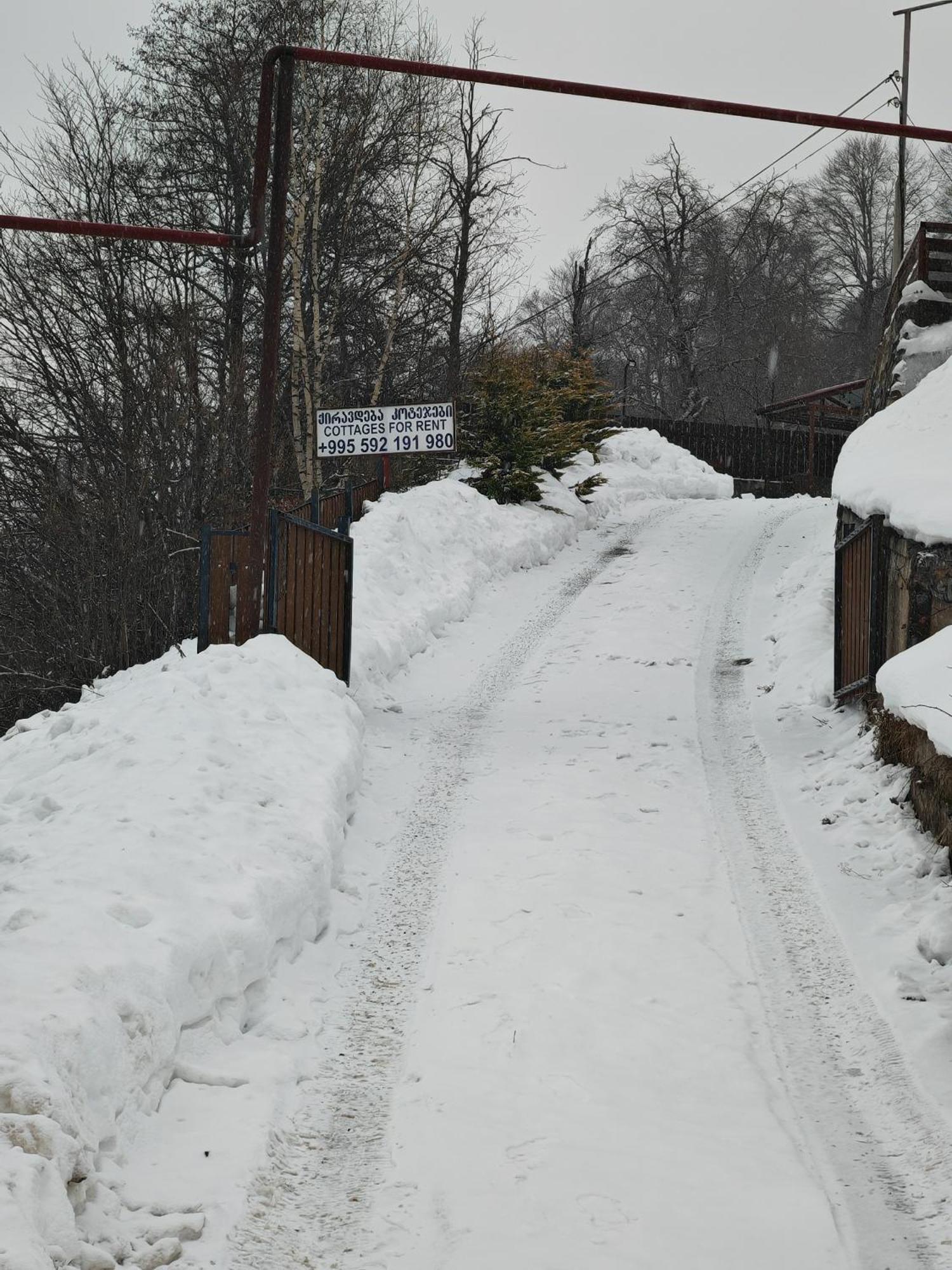 Konstantine'S Chalet Bakuriani Kültér fotó