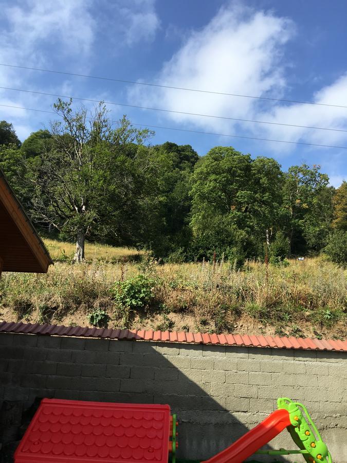 Konstantine'S Chalet Bakuriani Kültér fotó