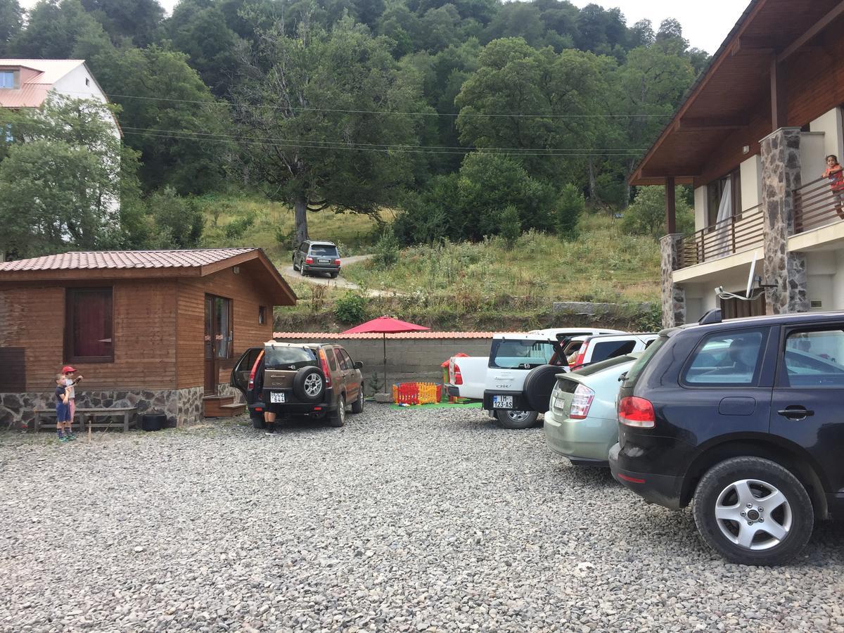 Konstantine'S Chalet Bakuriani Kültér fotó
