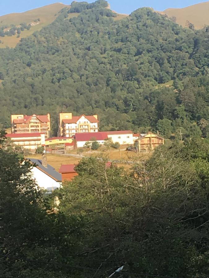 Konstantine'S Chalet Bakuriani Kültér fotó