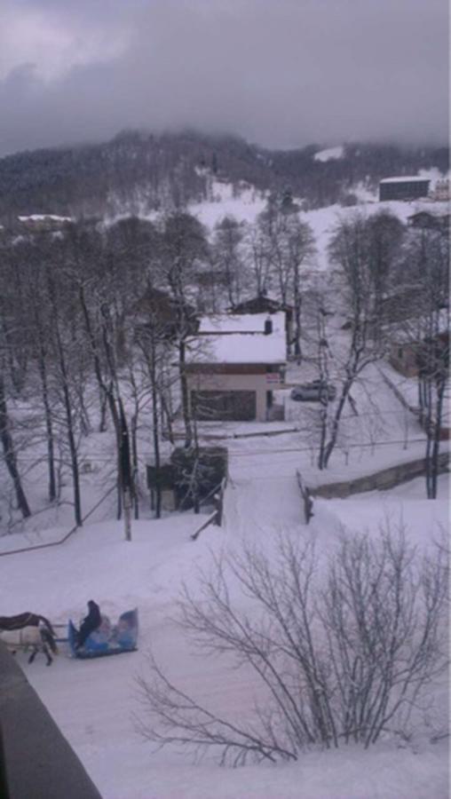 Konstantine'S Chalet Bakuriani Kültér fotó