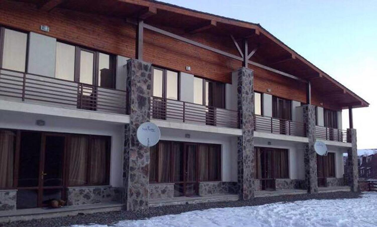 Konstantine'S Chalet Bakuriani Kültér fotó