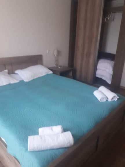 Konstantine'S Chalet Bakuriani Kültér fotó